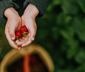 Preview wallpaper hands, strawberry, berry, fruit, focus