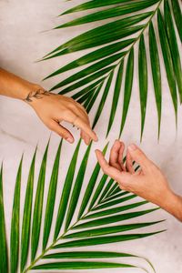 Preview wallpaper hands, touch, love, leaves, palm