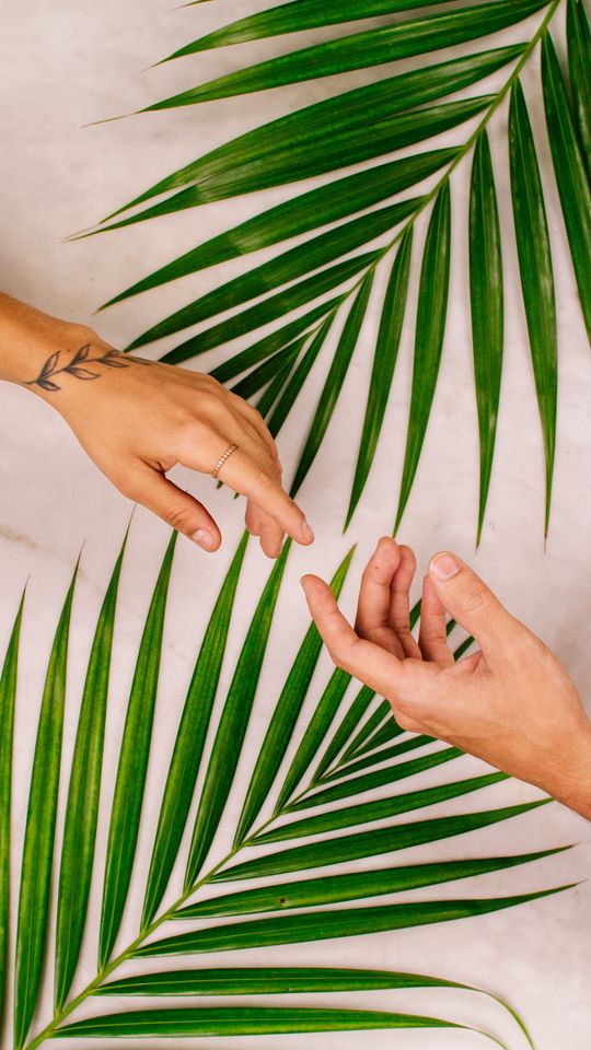 540x960 Wallpaper hands, touch, love, leaves, palm
