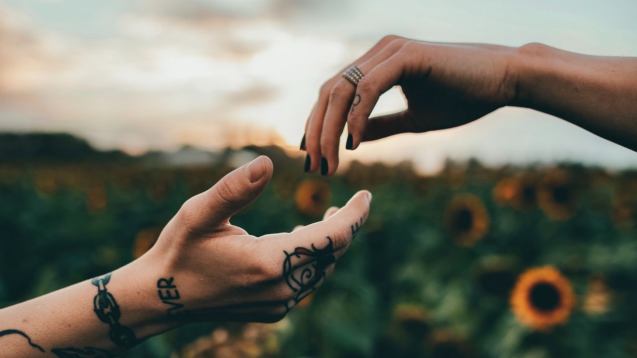 Wallpaper hands, touch, tattoos, sunflowers