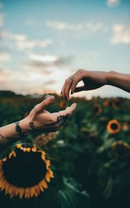 Preview wallpaper hands, touch, tattoos, sunflowers