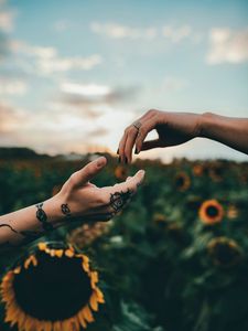 Preview wallpaper hands, touch, tattoos, sunflowers