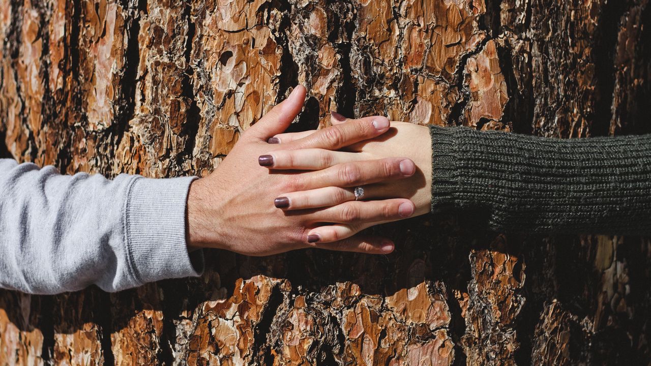 Wallpaper hands, tree, couple, love
