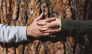 Preview wallpaper hands, tree, couple, love