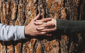 Preview wallpaper hands, tree, couple, love