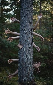 Preview wallpaper hands, tree, photoshop, forest