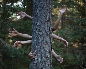 Preview wallpaper hands, tree, photoshop, forest