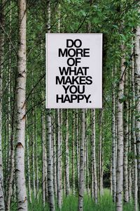 Preview wallpaper happy, inscription, motivation, trees, words