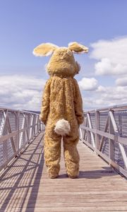 Preview wallpaper hare, costume, bridge, loneliness