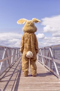 Preview wallpaper hare, costume, bridge, loneliness