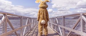 Preview wallpaper hare, costume, bridge, loneliness