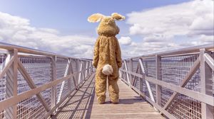 Preview wallpaper hare, costume, bridge, loneliness