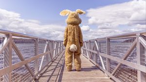 Preview wallpaper hare, costume, bridge, loneliness