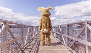 Preview wallpaper hare, costume, bridge, loneliness