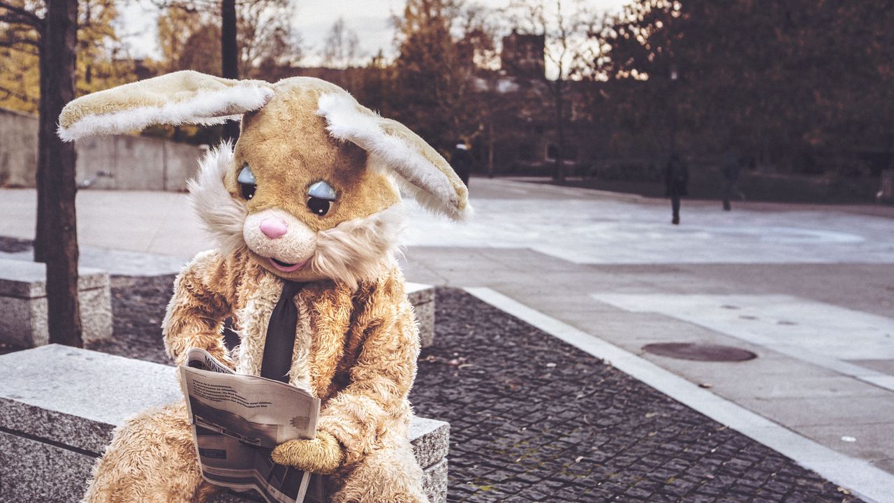 Wallpaper hare, costume, reading
