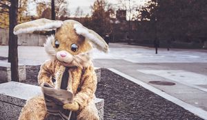 Preview wallpaper hare, costume, reading