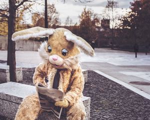 Preview wallpaper hare, costume, reading
