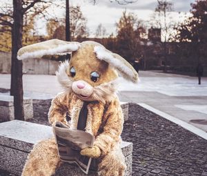 Preview wallpaper hare, costume, reading