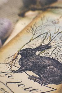 Preview wallpaper hare, drawing, postcard, easter
