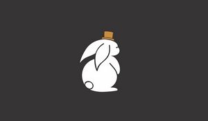 Preview wallpaper hare, hat, art, vector