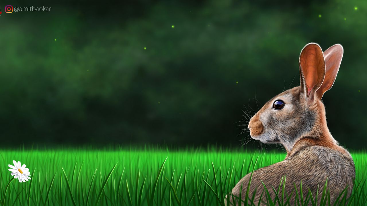 Wallpaper hare, rabbit, profile, grass, art
