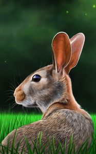 Preview wallpaper hare, rabbit, profile, grass, art