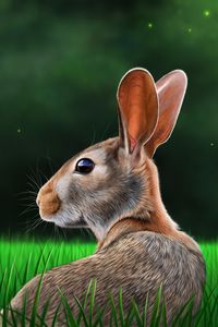 Preview wallpaper hare, rabbit, profile, grass, art