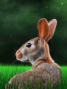 Preview wallpaper hare, rabbit, profile, grass, art