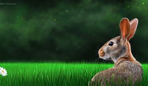 Preview wallpaper hare, rabbit, profile, grass, art