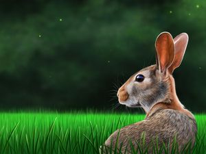 Preview wallpaper hare, rabbit, profile, grass, art