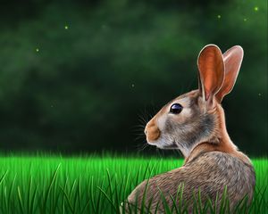 Preview wallpaper hare, rabbit, profile, grass, art