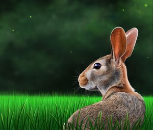 Preview wallpaper hare, rabbit, profile, grass, art