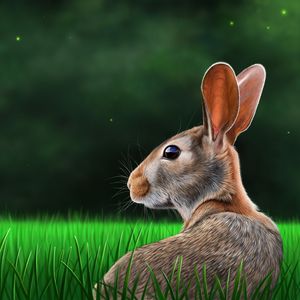 Preview wallpaper hare, rabbit, profile, grass, art