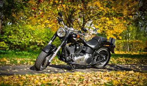 Preview wallpaper harley, bike, leaves, autumn