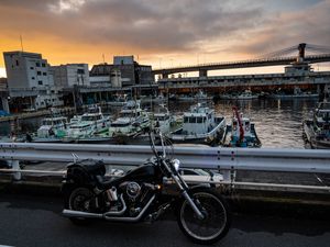 Preview wallpaper harley davidson, motorcycle, bike, pier