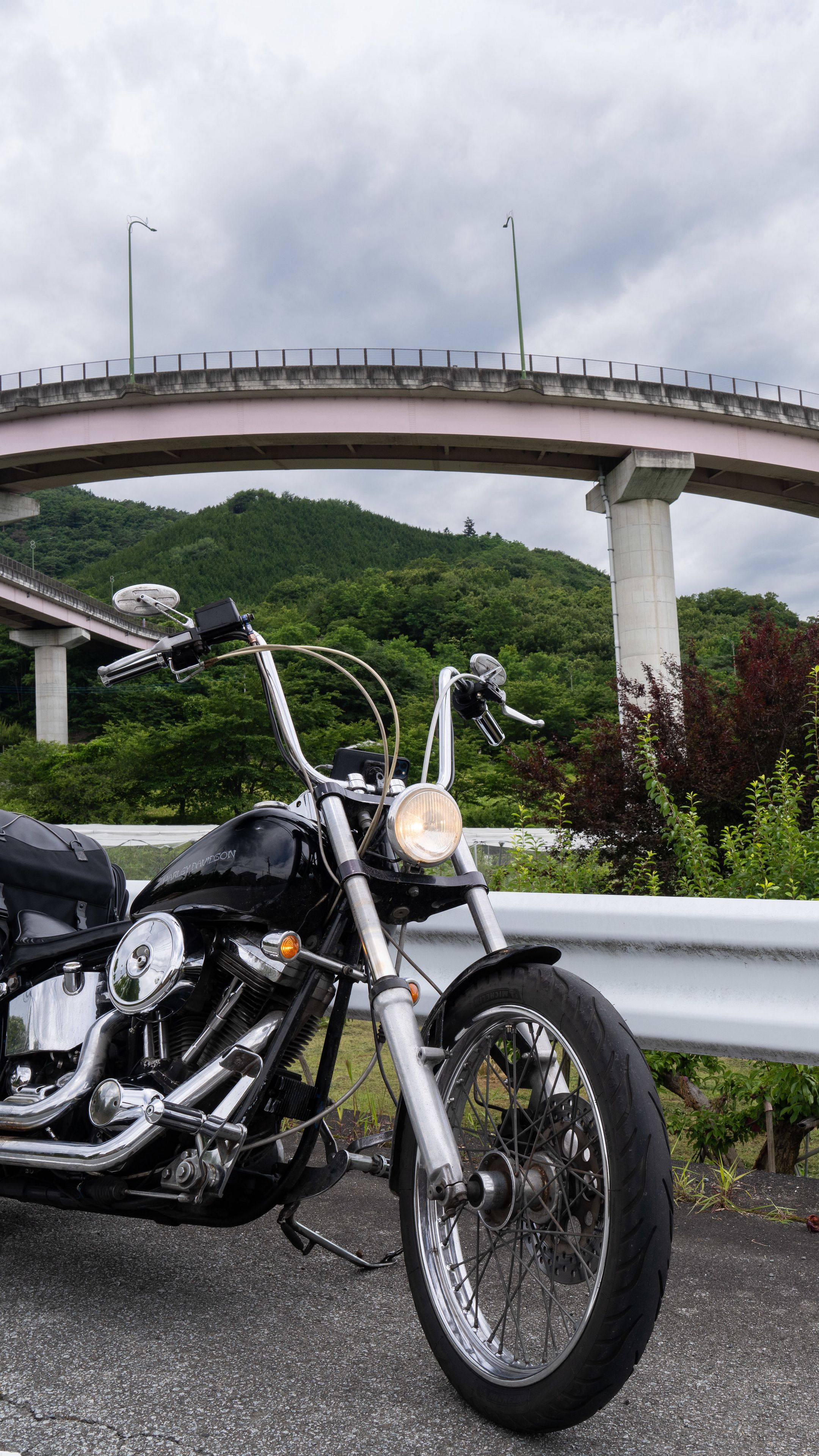 2160x3840 Wallpaper harley davidson, motorcycle, bike, bridge