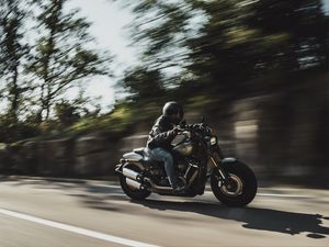 Preview wallpaper harley-davidson, motorcycle, bike, biker, road, speed