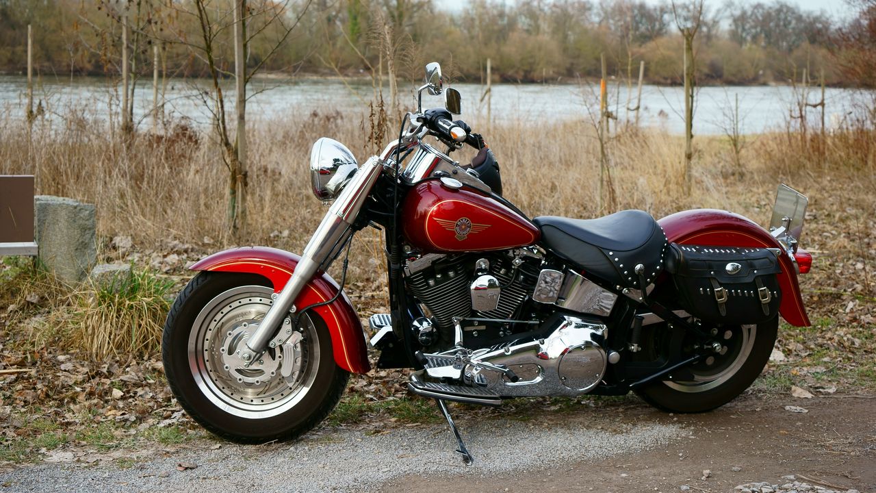 Wallpaper harley-davidson, motorcycle, bike, red