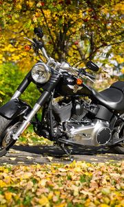 Preview wallpaper harley-davidson, motorcycle, foliage, autumn