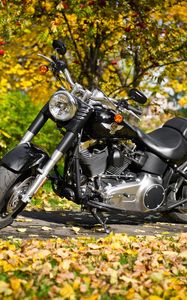 Preview wallpaper harley-davidson, motorcycle, foliage, autumn