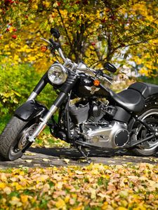 Preview wallpaper harley-davidson, motorcycle, foliage, autumn