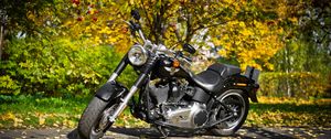 Preview wallpaper harley-davidson, motorcycle, foliage, autumn