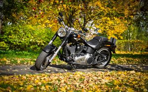 Preview wallpaper harley-davidson, motorcycle, foliage, autumn