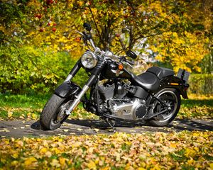 Preview wallpaper harley-davidson, motorcycle, foliage, autumn