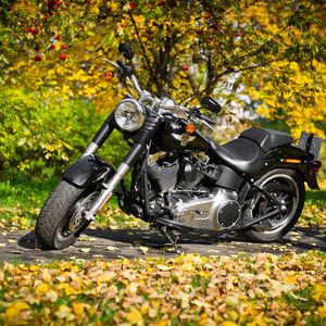 Preview wallpaper harley-davidson, motorcycle, foliage, autumn