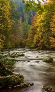 Preview wallpaper harz, germany, autumn, river, trees