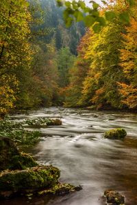 Preview wallpaper harz, germany, autumn, river, trees