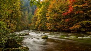 Preview wallpaper harz, germany, autumn, river, trees