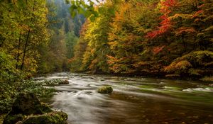 Preview wallpaper harz, germany, autumn, river, trees