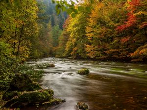 Preview wallpaper harz, germany, autumn, river, trees